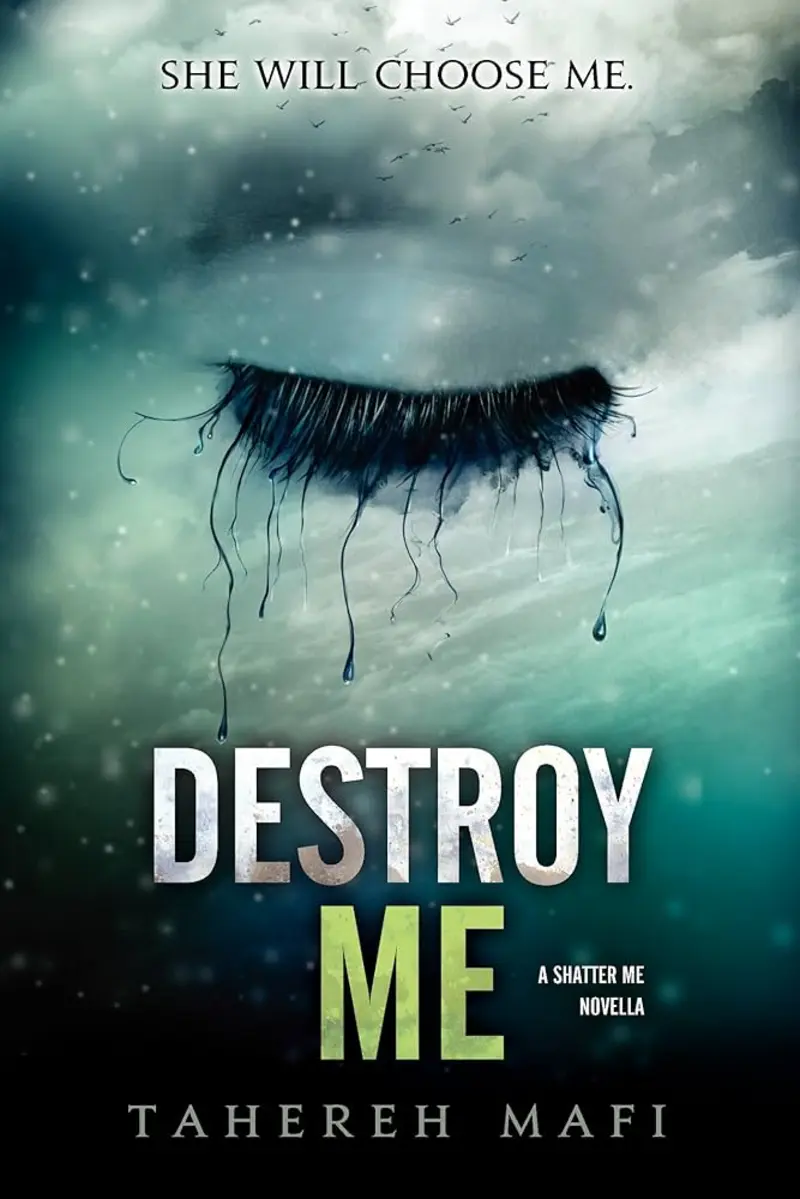 Book Cover: Destroy Me